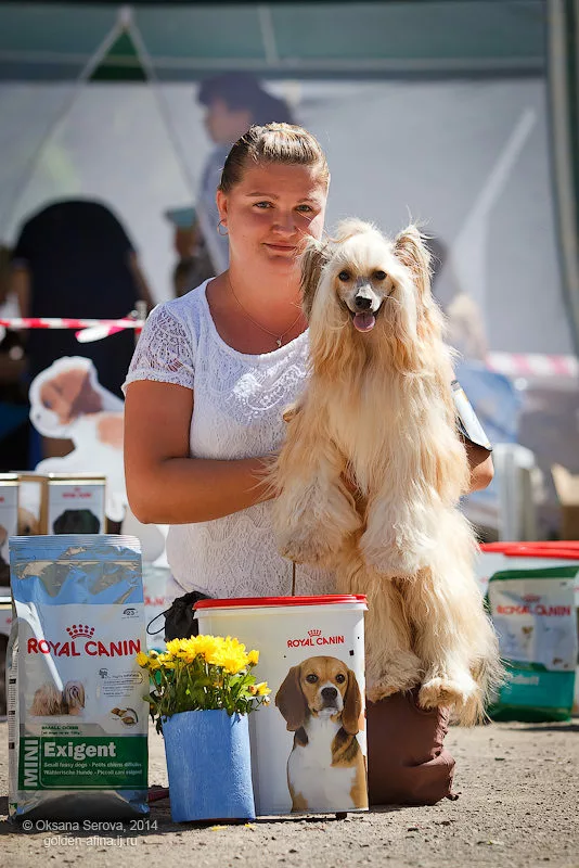 Incanto Del Mondo Ermak 20.07.14 Нерехта